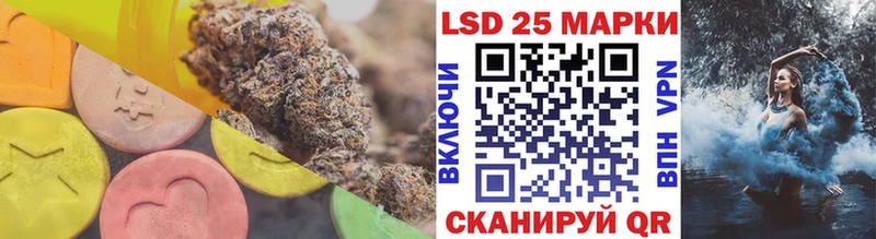 shop наркотические препараты  Алексеевка  ЛСД экстази ecstasy 