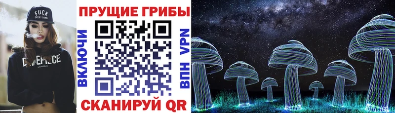 Галлюциногенные грибы мицелий  Алексеевка 